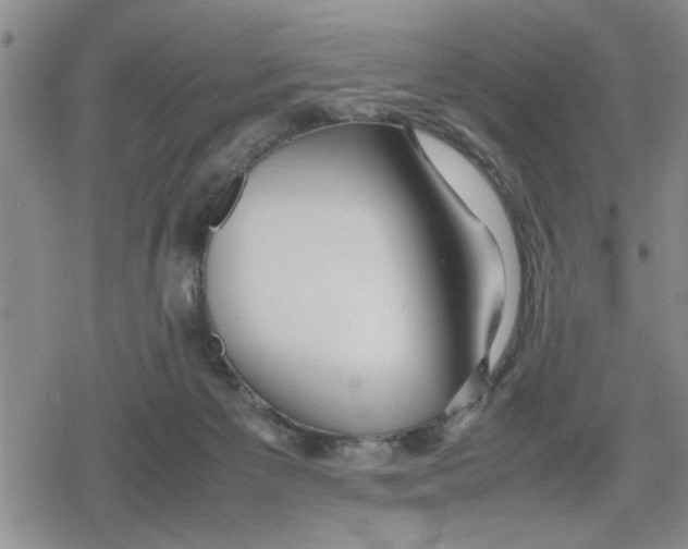 X0000079300125200612151737