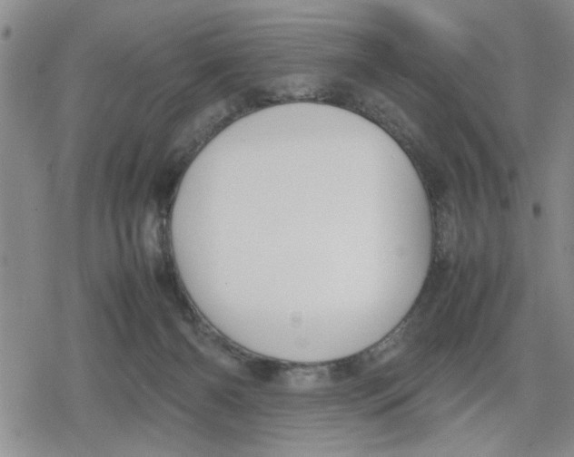 X0000079300126200612151737