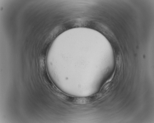 X0000079300127200612151737