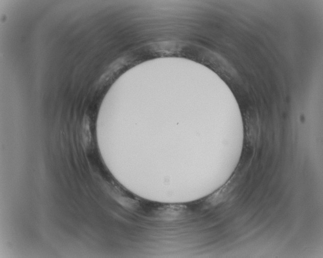 X0000079300128200612151737