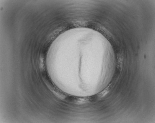 X0000079300130200612151737