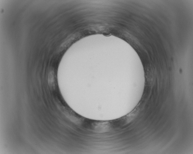 X0000079300132200612151737