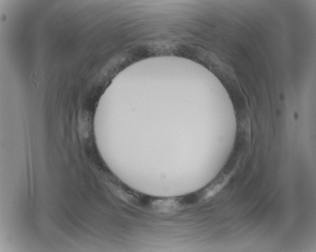 X0000079300133200612151737