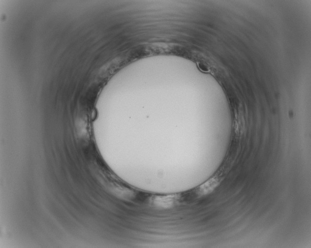 X0000079300134200612151736