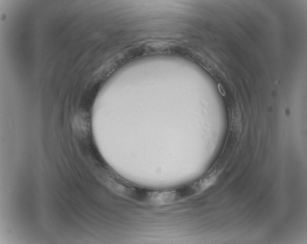 X0000079300135200612151736