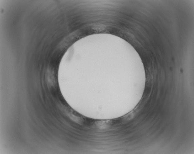 X0000079300136200612151736