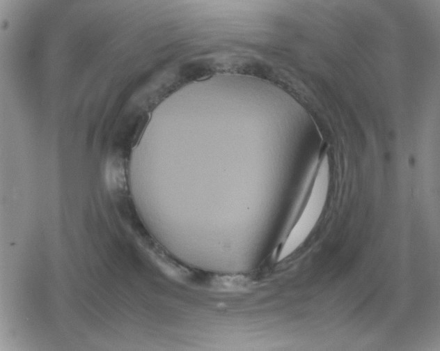 X0000079300137200612151736