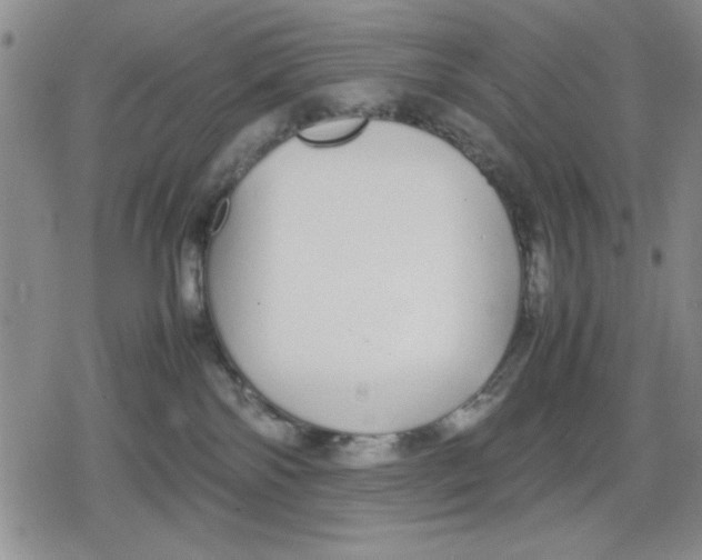 X0000079300138200612151736