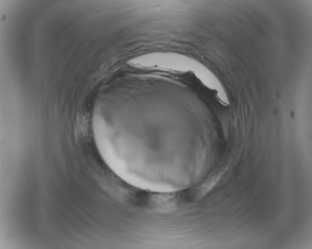 X0000079300139200612151736