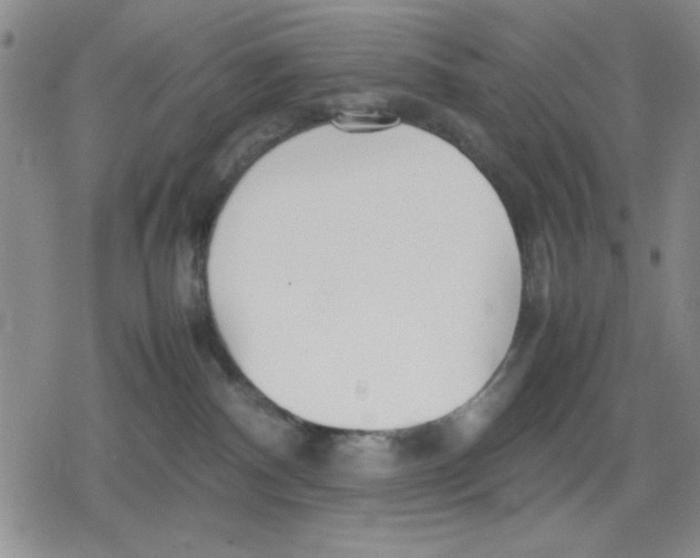 X0000079300140200612151736