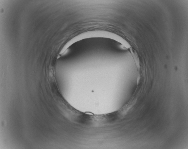 X0000079300141200612151736