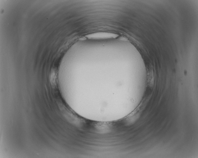 X0000079300142200612151736