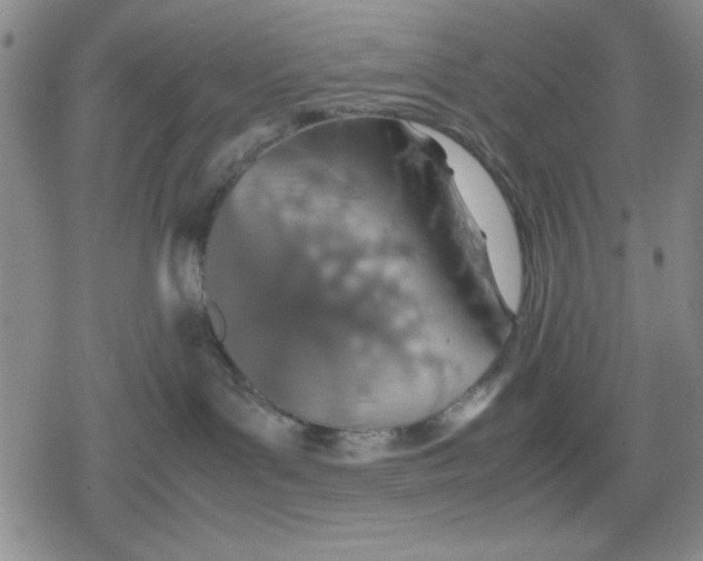 X0000079300143200612151736