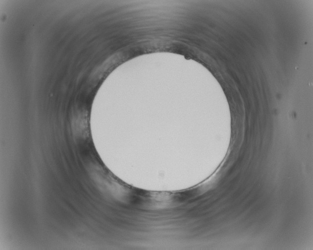 X0000079300144200612151736