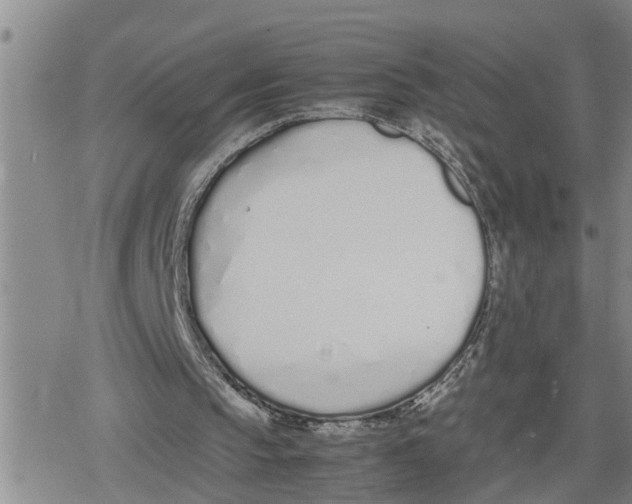 X0000079300145200612151736