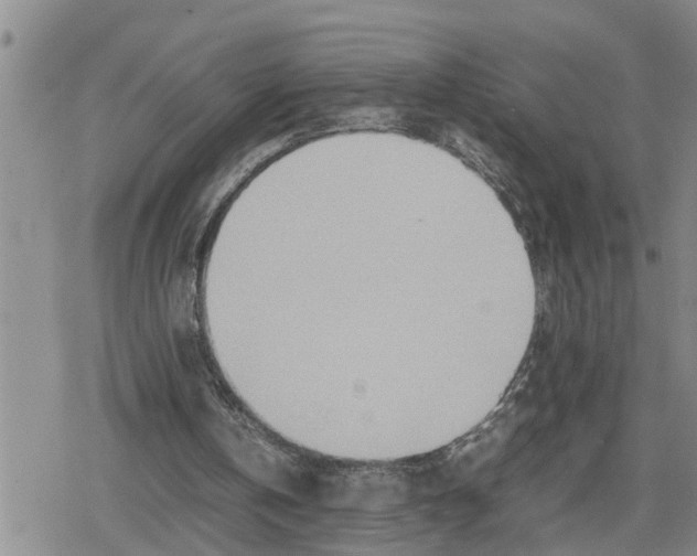 X0000079300146200612151736