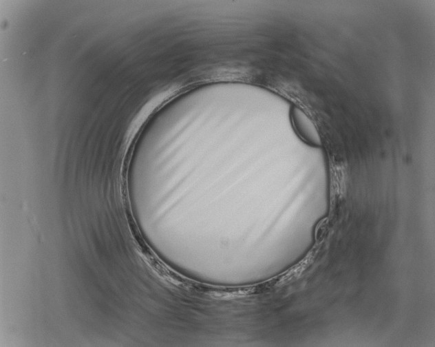 X0000079300147200612151736