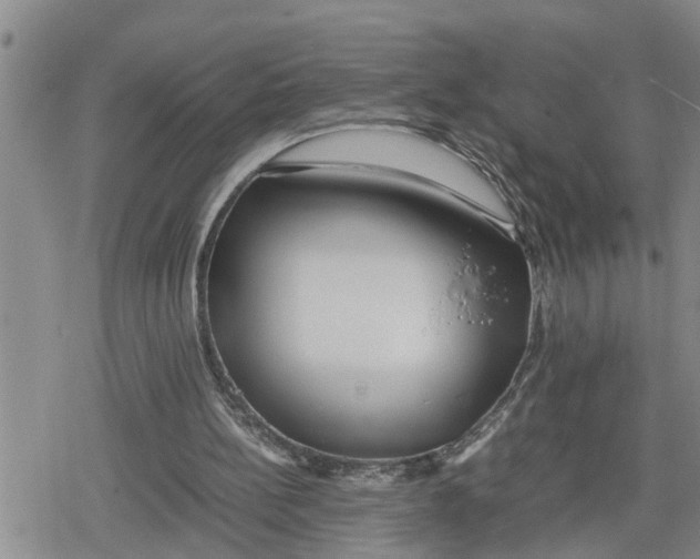 X0000079300148200612151736