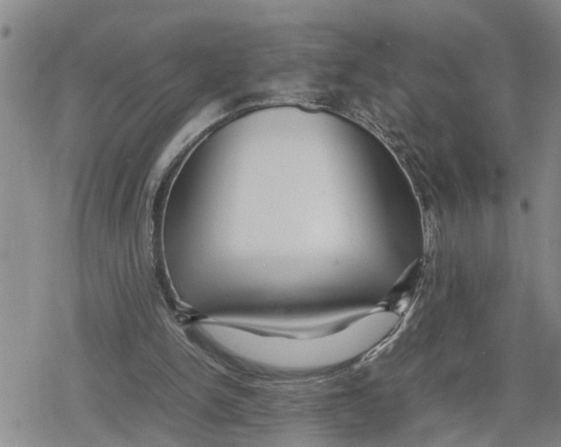 X0000079300150200612151736