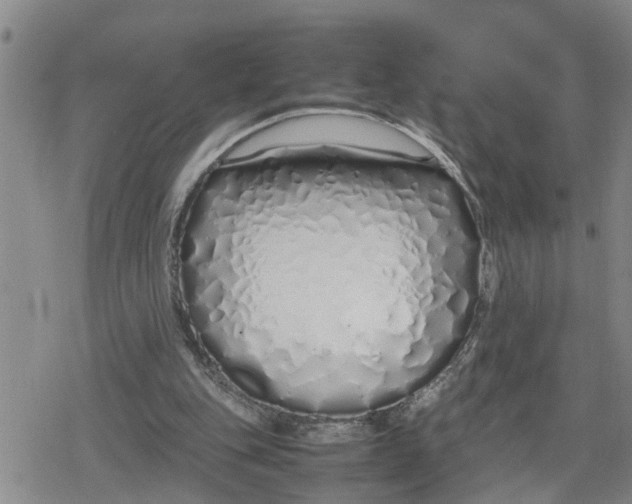 X0000079300151200612151736