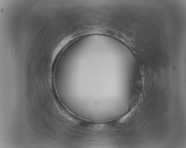 X0000079300152200612151736