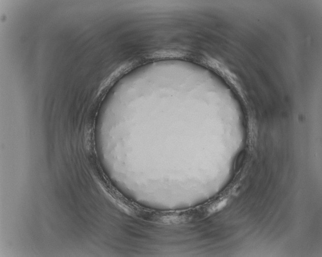 X0000079300153200612151736