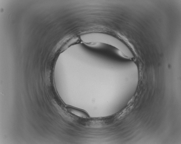 X0000079300154200612151736