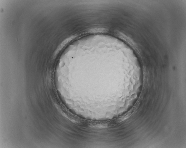 X0000079300155200612151736