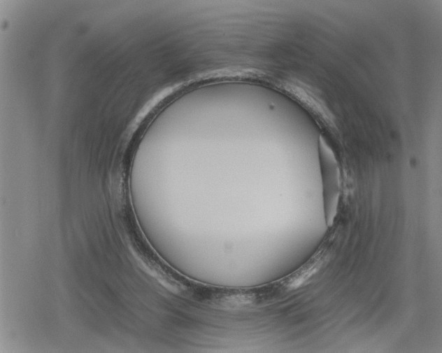 X0000079300156200612151736