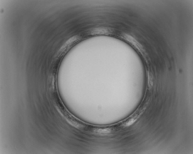 X0000079300157200612151736