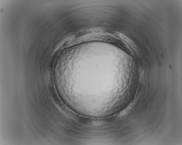 X0000079300158200612151736