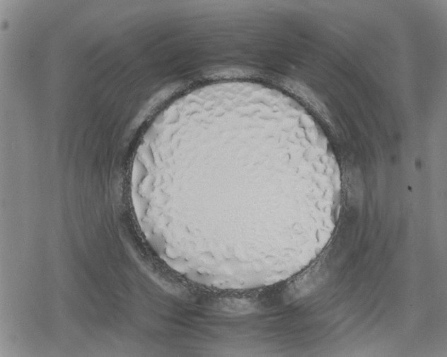 X0000079300159200612151736