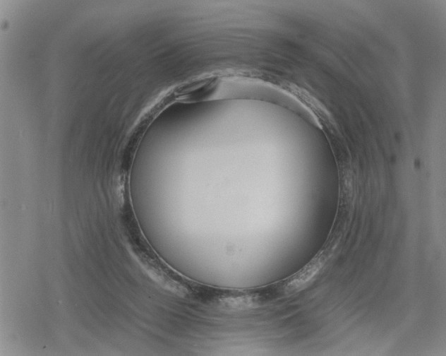 X0000079300160200612151736