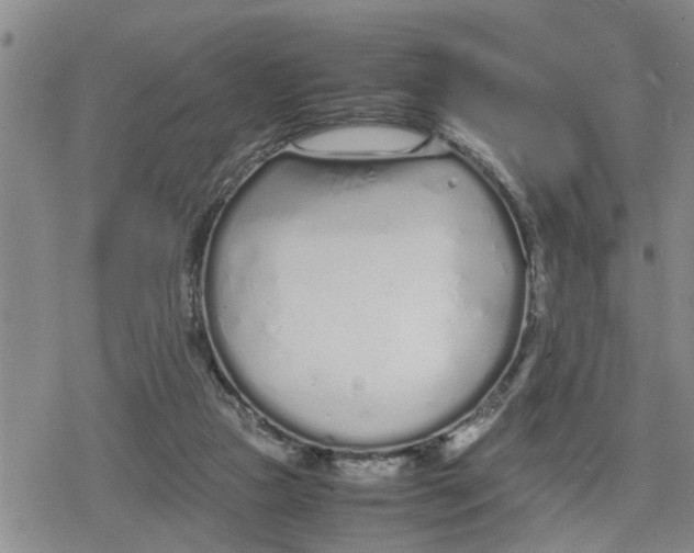 X0000079300161200612151736