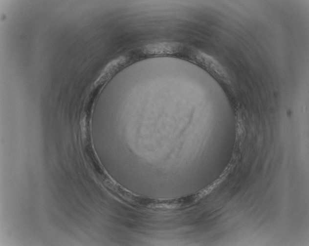 X0000079300163200612151736