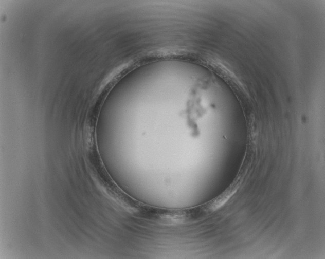 X0000079300164200612151736