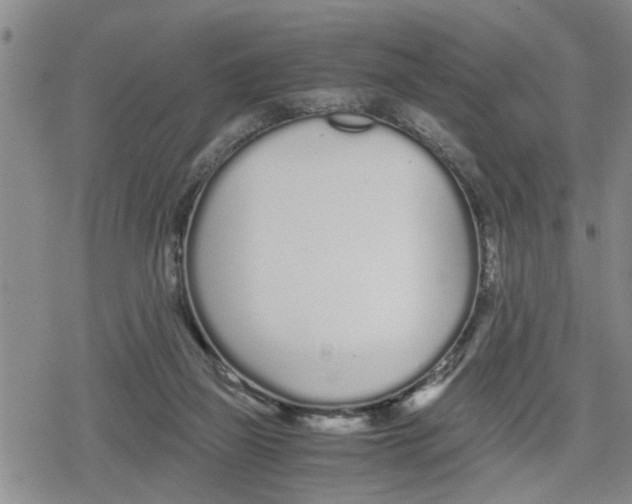 X0000079300165200612151736