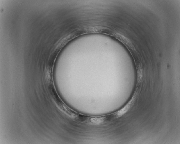 X0000079300166200612151736