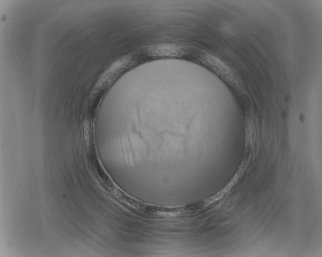 X0000079300167200612151736