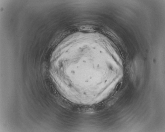 X0000079300169200612151736