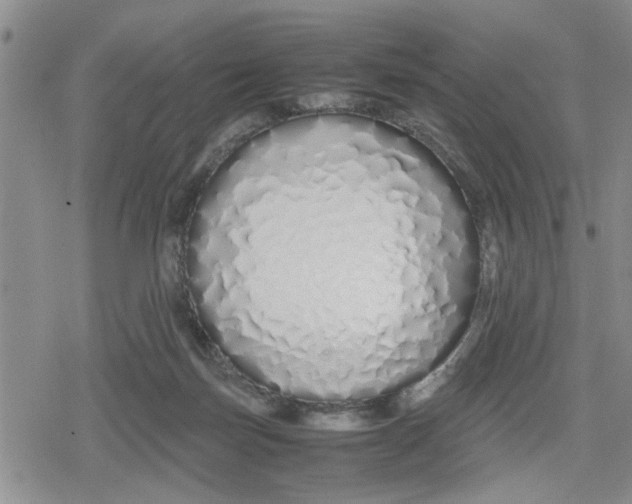 X0000079300171200612151736