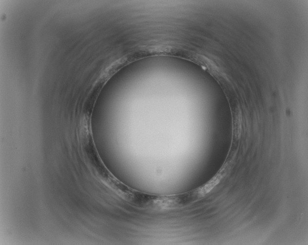 X0000079300172200612151736