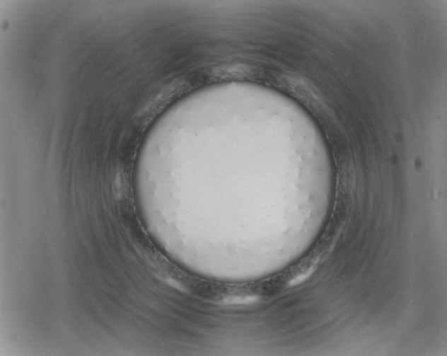 X0000079300173200612151736