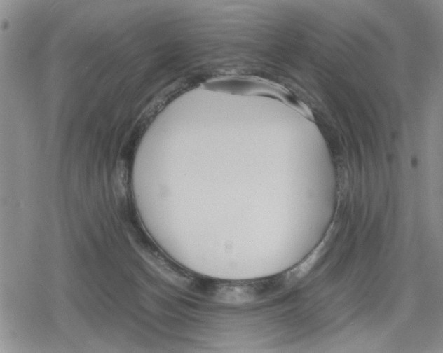 X0000079300174200612151736