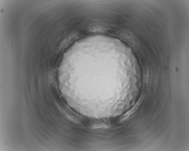 X0000079300175200612151736