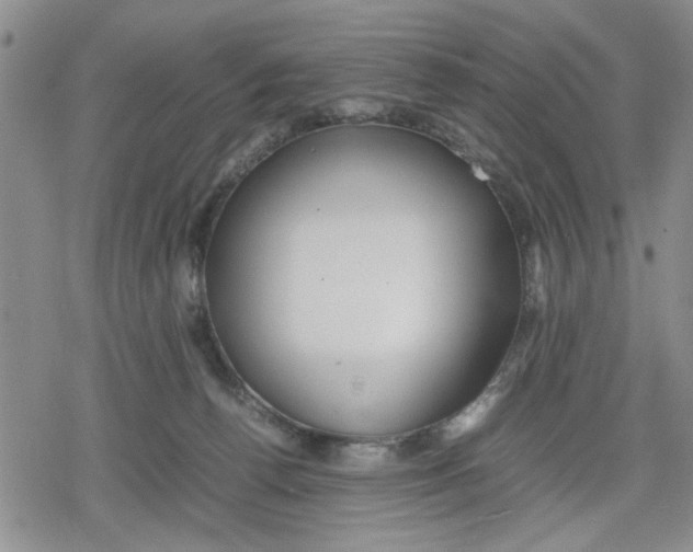 X0000079300176200612151736