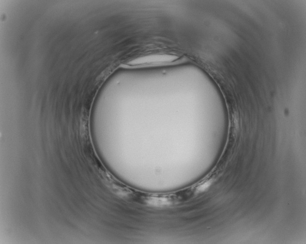 X0000079300177200612151736