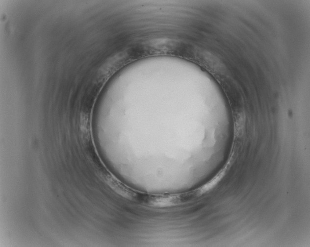 X0000079300178200612151736