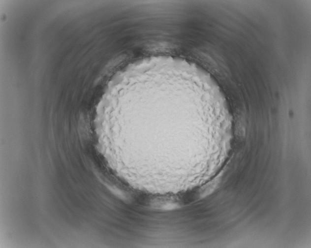 X0000079300179200612151736