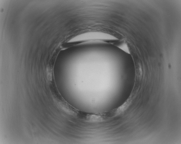 X0000079300180200612151736